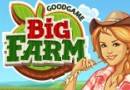 Play Big farm