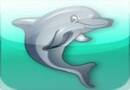 Play Dolphin Play