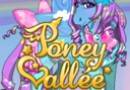 Play Poney Vallee